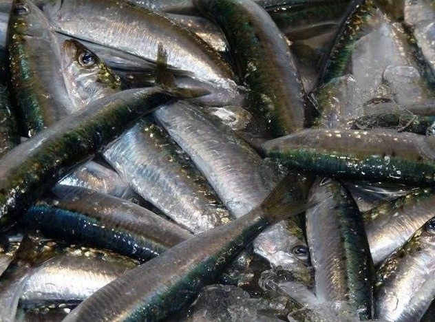 Un estudio asocia los niveles altos de omega-3 con menor riesgo de sufrir demencia