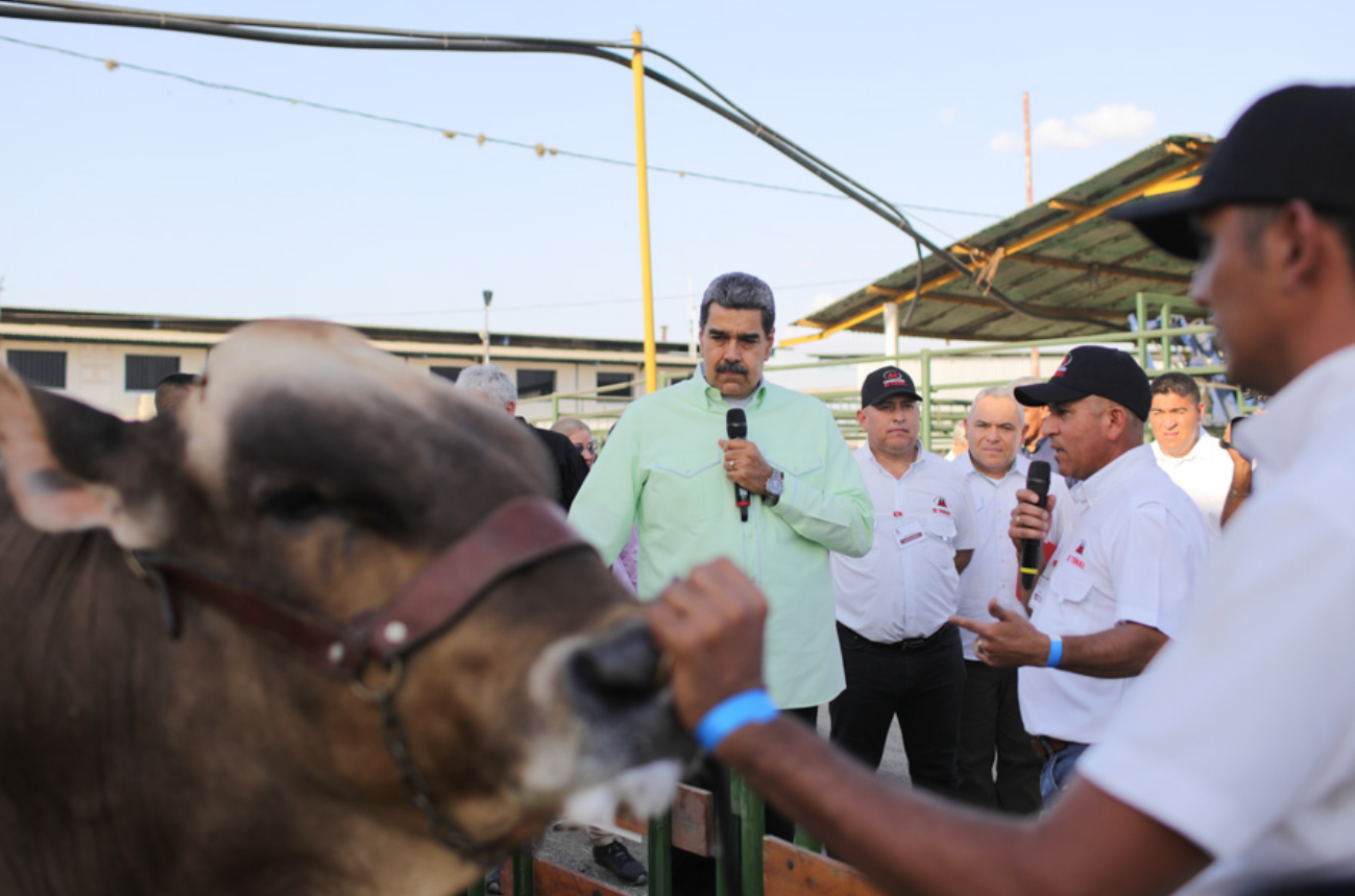 Maduro aplaudió firma del documento que pretende ajustar las elecciones presidenciales a su medida