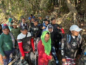 Fanb evacuó de Amazonas a 30 mineros ilegales procedentes de Colombia