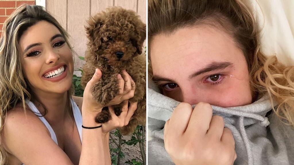 Pitbull atacó salvajemente a Lele Pons mientras intentaba defender a su perrito Toby