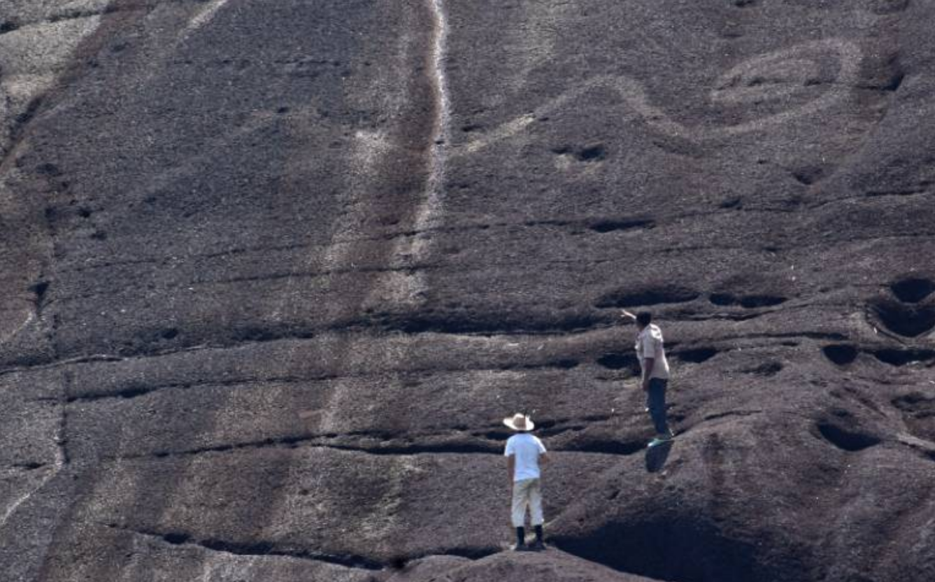 Serpientes, ciempiés gigantes y más: los espectaculares grabados rupestres en el río Orinoco