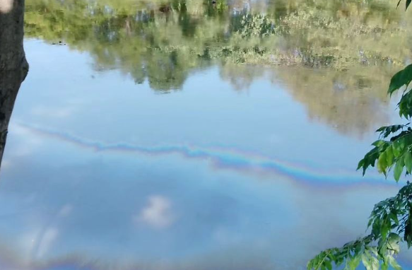 Oily substance spill alarms fishermen of the Neverí River in Anzoátegui State, in Eastern Venezuela