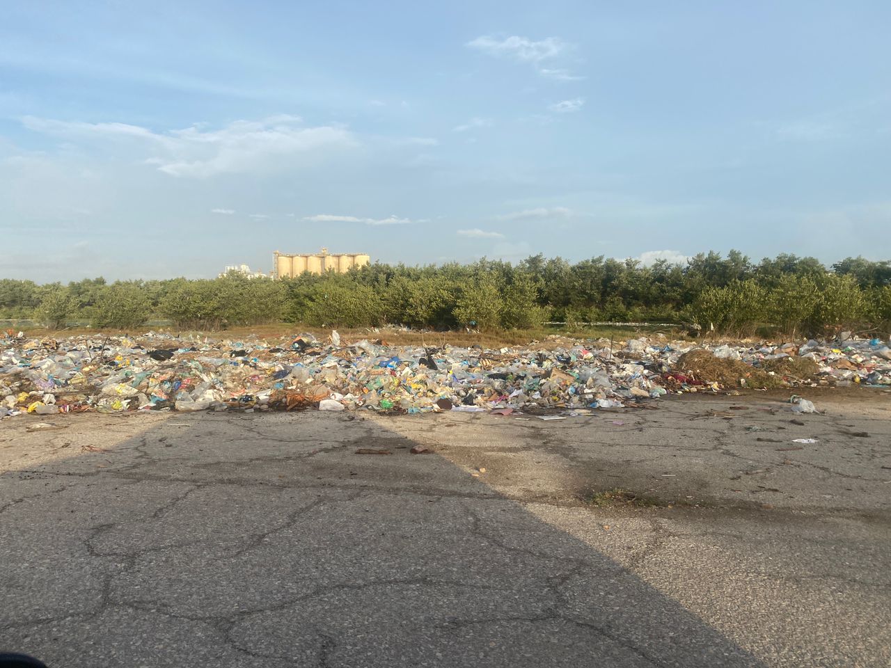 Entre chivos y basura sobreviven más de 450 familias del sector Aeropuerto Viejo en Cumaná