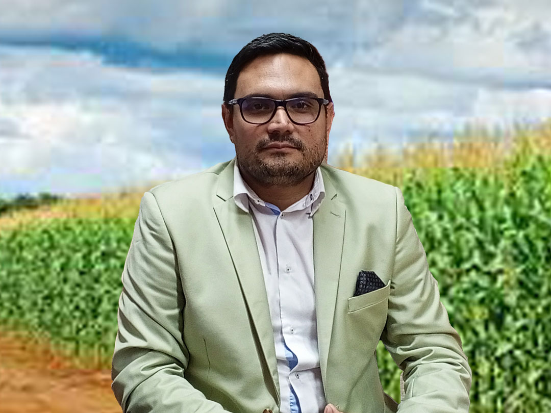 Sociedad Venezolana de Ingenieros Agrónomos y Afines detalló que aumentó producción de maíz, arroz, azúcar y camarones