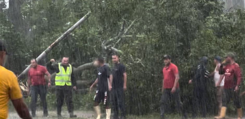 VIDEO: así quedó el árbol que cayó sobre vehículo que trasladaba a Delcy Rodríguez en Cumanacoa