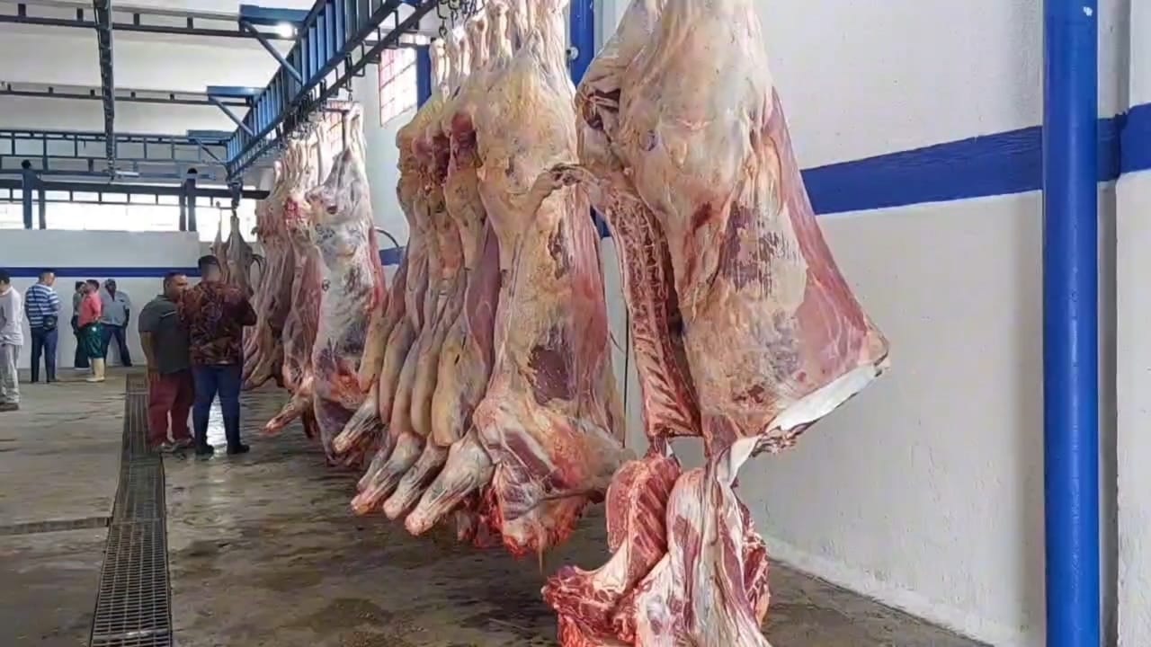 Alerta por venta de carne de burros y caballos en El Tigre