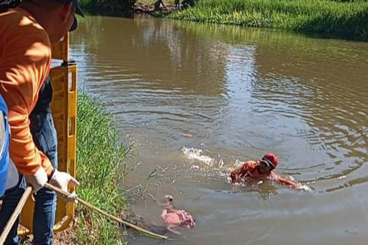 Tercer cadáver en 10 días: Hallan cuerpo de un hombre en el río Neverí de Barcelona