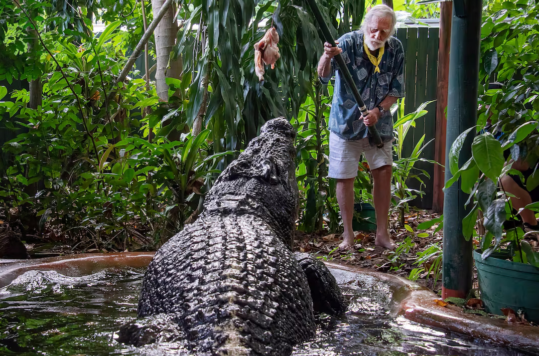 El cocodrilo más grande del mundo murió en un centro de animales en Australia