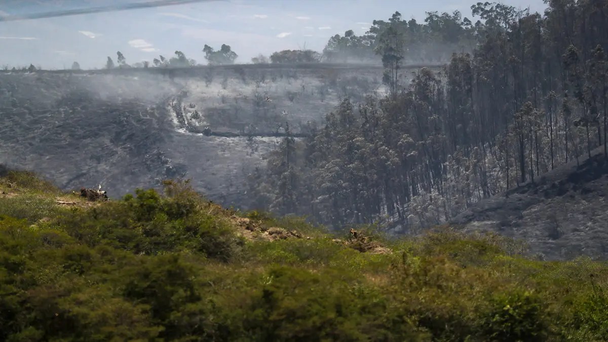 Declaran emergencia nacional en Ecuador por incendios, déficit hídrico y sequía