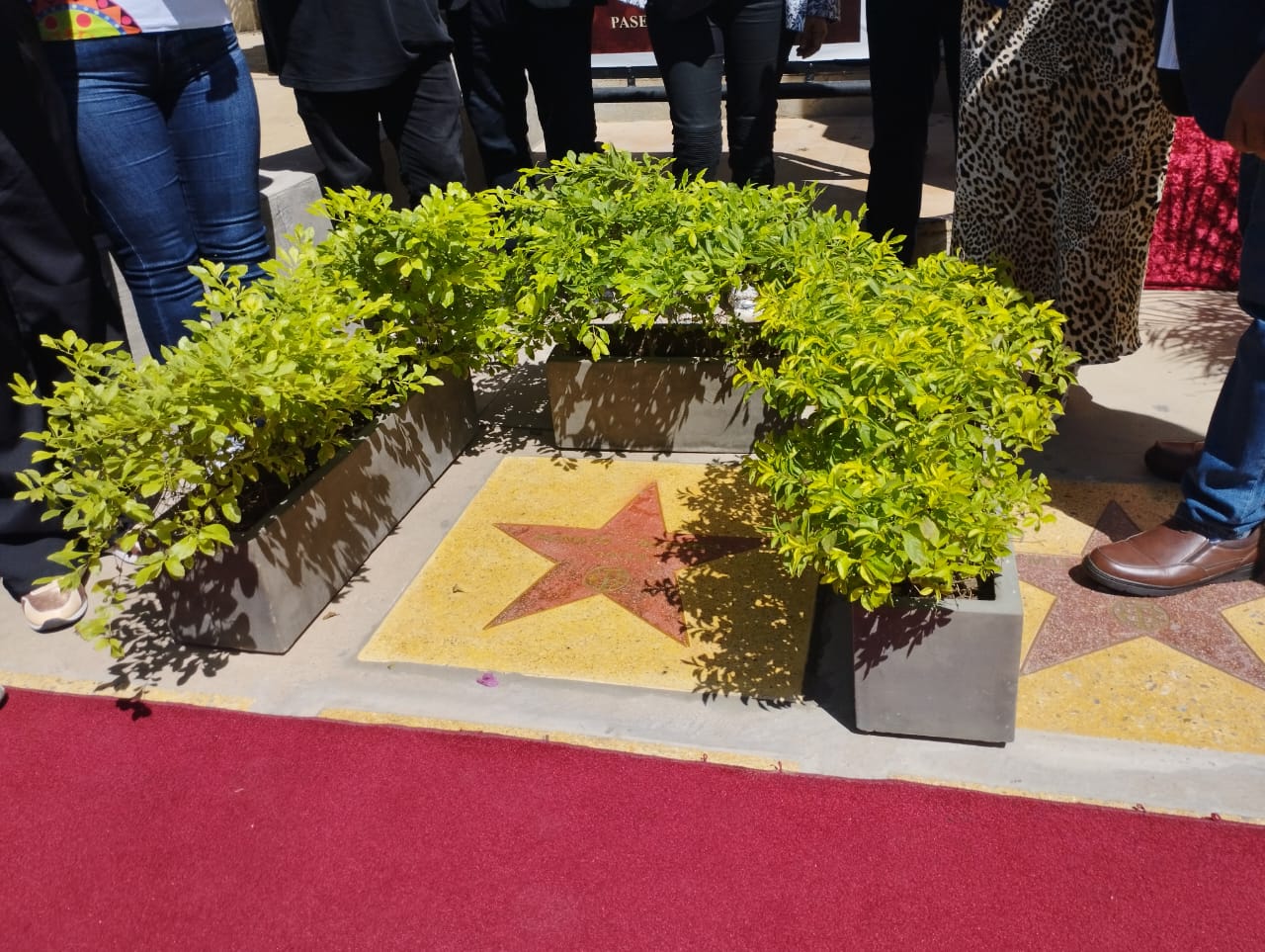 En el Teatro Baralt de Maracaibo develan estrella en honor al gaitero Renato Aguirre González