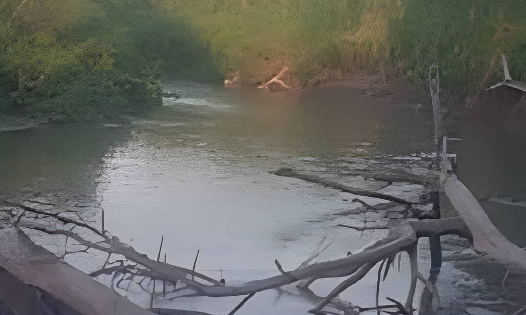 Pesca ilegal está afectando el proceso de reproducción de los peces en el río Portuguesa